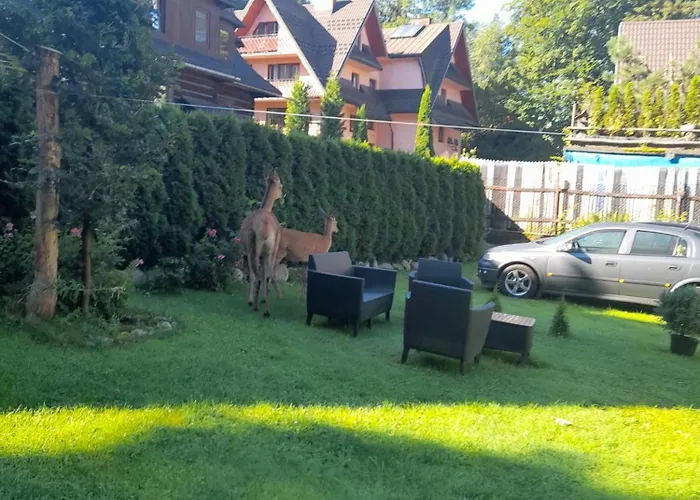 Pokoje Goscinne Kozica