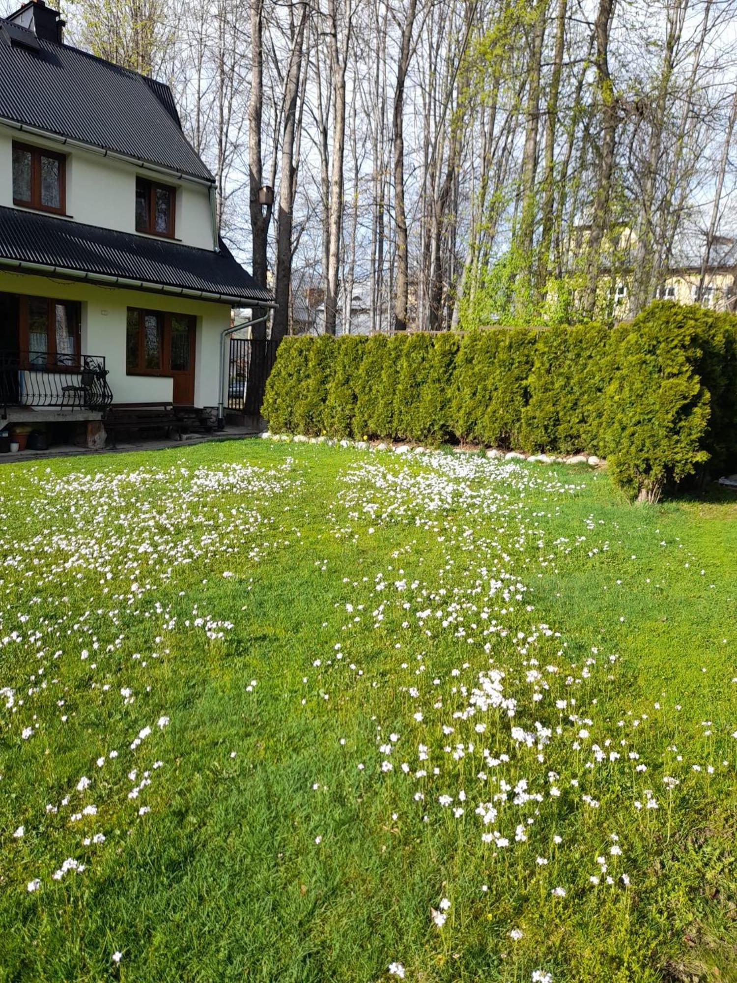 Goscinne Kozica Homestay